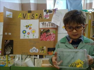 El sabio de los insectos