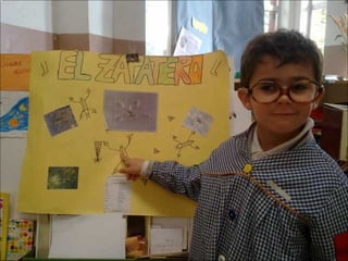 El sabio de los insectos