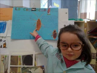 El sabio de los insectos