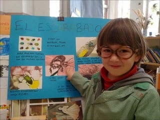 El sabio de los insectos