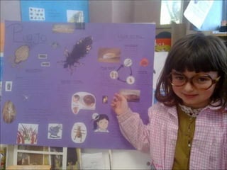 El sabio de los insectos