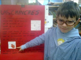 El sabio de los insectos