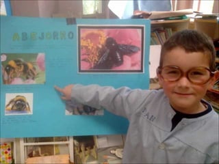 El sabio de los insectos