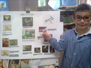 El sabio de los insectos