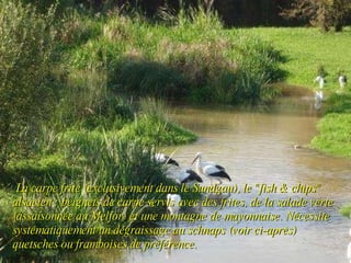   La carpe frite (exclusivement dans le Sundgau), le "fish & chips" alsacien : beignets de carpe servis avec des frites, de la salade verte (assaisonnée au Melfor) et une montagne de mayonnaise. Nécessite systématiquement un dégraissage au schnaps (voir ci-après) quetsches ou framboises de préférence.  
