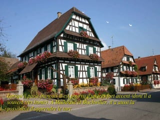 Lorsqu'il parle français il est pourvu d'un très fort accent (dont il a souvent très honte). A Mulhouse et Bischwiller, il a aussi la possibilité d'apprendre le turc. 