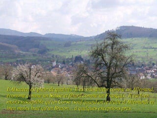 L'Alsacien est plein de qualités. Il est travailleur comme un Allemand, économe comme un Suisse et fêtard comme un Français.  Il est bien moins susceptible qu'un Corse (sauf quand on le traite d‘Allemand) et bien moins buté qu'un Breton… à quelques exceptions près.   