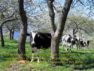 L'Alsacien (qui est très pieux) bénéficie de 2 jours fériés supplémentaires (le Vendredi Saint et la Saint-Étienne), les curés sont payés par l'état et les soins sont remboursés à 90% par la Sécu ! 