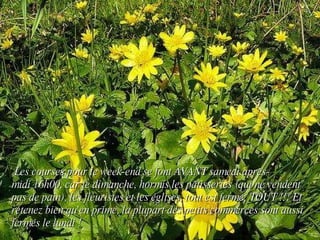   Les courses pour le week-end se font AVANT samedi après-midi 16h00, car le dimanche, hormis les pâtisseries (qui ne vendent pas de pain), les fleuristes et les églises, tout est fermé, TOUT !!! Et retenez bien qu'en prime, la plupart des petits commerces sont aussi fermés le lundi ! 