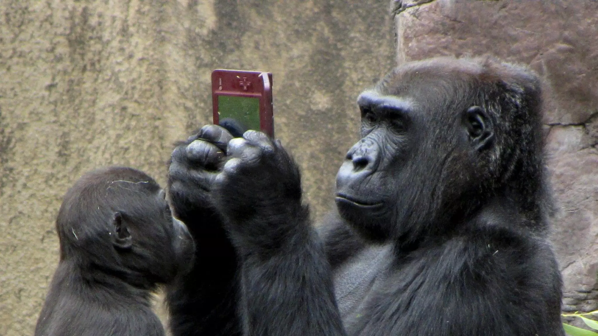 © MARSEL VAN OOSTEN | SQUIVER.COM
 