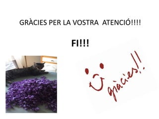 GRÀCIES PER LA VOSTRA ATENCIÓ!!!!
FI!!!
 