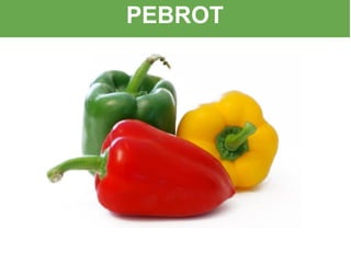 PEBROT
 