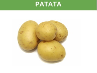 PATATA
 