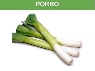PORRO
 