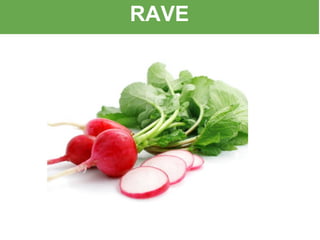 RAVE
 