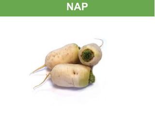 NAP
 