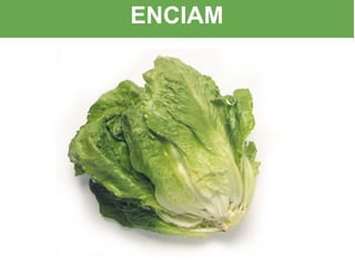 ENCIAM
 