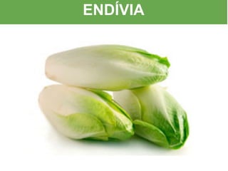 ENDÍVIA
 