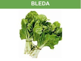 BLEDA
 