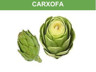 CARXOFA
 