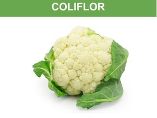 COLIFLOR
 