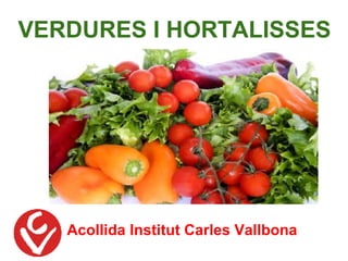 Acollida Institut Carles Vallbona
VERDURES I HORTALISSES
 