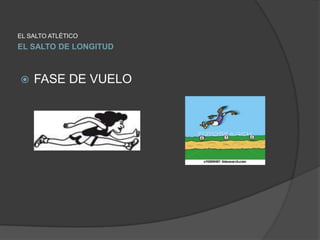 EL SALTO ATLÉTICO
EL SALTO DE LONGITUD
FASE DE VUELO
