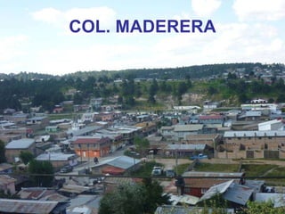 COL. MADERERA 
