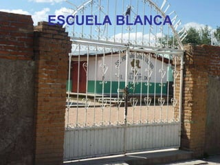 ESCUELA BLANCA 