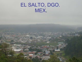 EL SALTO, DGO.  MEX . 