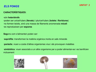 ELS FONGS
CARACTERÍSTIQUES:
·són heteròtrofs
·poden ser unicel·lulars (llevats) i pluricel·lulars (bolets i floridures)
·no formen teixits, sinó una massa de filaments anomenada miceli
·es reprodueixen per espores
Segons com s'alimenten poden ser:
·sapròfits: transformen la matèria orgànica morta en sals minerals
·paràsits: viuen a costa d'altres organismes vius i els provoquen malalties
·simbiòtics: viuen associats a un altre organisme per a poder alimentar-se i es benificien
mútuament
UNITAT 3
 