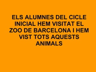 ELS ALUMNES DEL CICLE INICIAL HEM VISITAT EL ZOO DE BARCELONA I HEM VIST TOTS AQUESTS ANIMALS 