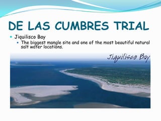 FROM INDIGO TO COFFEEEl Salvador's landed elite depended on production of a single export crop, indigo. The landed elite replaced this crop with a newly demanded product, coffee.