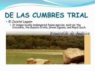 MILITARY DICTATORSHIPSBetween 1931 to 1944, during General Maximiliano Martinez there was brutal suppression of rural resistance. By the year 1932, 30,000 indigenous people and political opponents were murdered, imprisoned or exiled.
