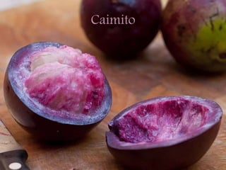 Caimito
 