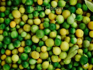 Frutas Cítricas
 