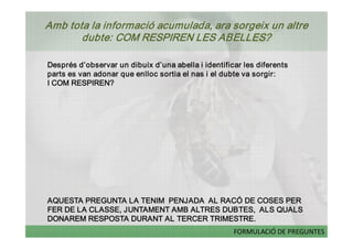 Amb tota la informació acumulada, ara sorgeix un altre 
       dubte: COM RESPIREN LES ABELLES?  

Després d’observar un dibuix d’una abella i identificar les diferents 
parts es van adonar que enlloc sortia el nas i el dubte va sorgir: 
I COM RESPIREN? 




AQUESTA PREGUNTA LA TENIM  PENJADA  AL RACÓ DE COSES PER 
FER DE LA CLASSE, JUNTAMENT AMB ALTRES DUBTES,  ALS QUALS 
DONAREM RESPOSTA DURANT AL TERCER TRIMESTRE.
                                                     FORMULACIÓ DE PREGUNTES 
 