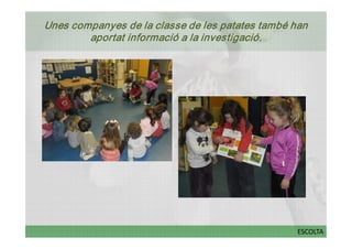 Unes companyes de la classe de les patates també han 
        aportat informació a la investigació. 




                                                  ESCOLTA
 