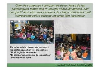 Com els companys i companyes de la classe de les 
 pastanagues també han investigat sobre les abelles, han 
compartit amb ells unes sessions de vídeo i converses molt 
   interessants sobre aquests insectes tant fascinants. 




Els infants de la classe dels enciams i 
les pastanagues han vist els capítols: 
“ Morfologia de les abelles” . 
“ El comportament social de les abelles”  
“ Les abelles i l’home”


                                             FAMILIARITZACIÓ AMB EL DOCUMENTAL 
 