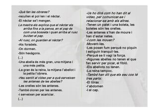 ­Què fan les obreres?                           ­Us ho diré com ho han dit al 
­recullen el pol∙len i el nèctar.               vídeo, per comunicar­se i 
­El nèctar se’l mengen.                         relacionar­se amb els altres. 
La mestra els explica que el nèctar els         ­Tenen un palet i una boleta, les 
    arriba fins a la panxa, en el pap és        boletes són les orelles. 
    com una bosseta i quan arriba al rusc       ­Les antenes s’han de moure i 
    buiden el pap.                              han d’estar netes. 
­Al rusc, on guarden el nèctar?                 ­I com les mouen?  
­Als foradets.                                  ­Movent­les. 
­On dormen.                                     ­Les posen fum perquè no piquin 
­Són hexàgons. 
                                                i estiguin tranquil∙les. 
                                                ­Perquè se li vagi la força. 
(...) 
                                                ­Algunes abelles no tenen el que 
­Una abella és més gran, una mitjana i          fan servir per picar, el fibló. 
      una més petita.                           ­Els abellots no tenen. 
­La gran és la reina, la mitjana l’abellot i    ­La reina tampoc. 
      la petita l’obrera.                       ­També han dit que els seu cos té 
­Heu sentit al vídeo per a què serveixen        tres parts:  
   les antenes de les abelles?                  ­El tòrax 
­Les orelles són les antenes.                   ­l’abdomen 
­També oloren per les antenes.                  ­I el cap.
­i serveixen per acariciar. 
(...) 
 