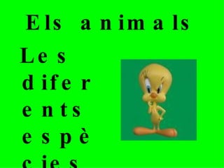 Els animals ,[object Object]
