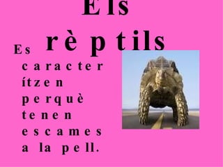 Els rèptils Es caracterítzen perquè tenen escames a la pell. 