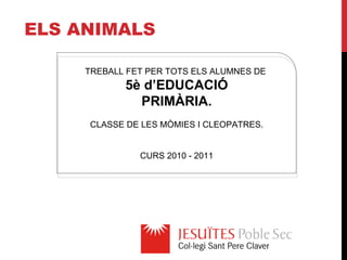 E LS ANIMALS TREBALL FET PER TOTS ELS ALUMNES DE  5è d’EDUCACIÓ PRIMÀRIA. CLASSE DE LES MÒMIES I CLEOPATRES. CURS 2010 - 2011 