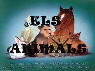 ELS  ANIMALS 
