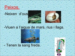 Peixos. -Neixen  d’ous. Viuen a l’aigua de mars, rius i llags. Tenen la sang freda. 