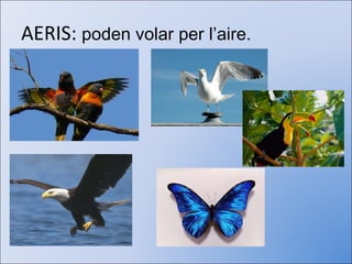 AERIS:  poden volar per l’aire.   