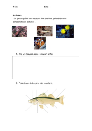 Nom:                                  Data:



Activitats
Els peixos poden tenir aspectes molt diferents però tenen unes
c...