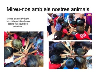 Mireu-nos amb els nostres animals
Mentre els observàvem
hem vist que tots ells són
essers vius igual que
nosaltres.
 