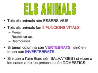• Tots els animals són ESSÉRS VIUS.
• Tots els animals fan 3 FUNCIONS VITALS:
– Menjar.
– Relacionar-se.
– Reproduir-se.
• Si tenen columna són VERTEBRATS i sinó en
tenen són INVERTEBRATS.
• Si viuen a l’aire lliure són SALVATGES i si viuen a
les cases amb les persones són DOMÈSTICS.
 