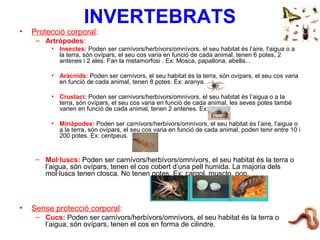 INVERTEBRATS
• Protecció corporal:
– Artròpodes:
• Insectes: Poden ser carnívors/herbívors/omnívors, el seu habitat és l’aire, l’aigua o a
la terra, són ovípars, el seu cos varia en funció de cada animal, tenen 6 potes, 2
antenes i 2 ales. Fan la metamorfosi . Ex: Mosca, papallona, abella...
• Aràcnids: Poden ser carnívors, el seu habitat és la terra, són ovípars, el seu cos varia
en funció de cada animal, tenen 8 potes. Ex: aranya.
• Crustaci: Poden ser carnívors/herbívors/omnívors, el seu habitat és l’aigua o a la
terra, són ovípars, el seu cos varia en funció de cada animal, les seves potes també
varien en funció de cada animal, tenen 2 antenes. Ex: cranc.
• Miriàpodes: Poden ser carnívors/herbívors/omnívors, el seu habitat és l’aire, l’aigua o
a la terra, són ovípars, el seu cos varia en funció de cada animal, poden tenir entre 10 i
200 potes. Ex: centpeus.
– Mol·luscs: Poden ser carnívors/herbívors/omnívors, el seu habitat és la terra o
l’aigua, són ovípars, tenen el cos cobert d’una pell humida. La majoria dels
mol·luscs tenen closca. No tenen potes. Ex: cargol, musclo, pop.
• Sense protecció corporal:
– Cucs: Poden ser carnívors/herbívors/omnívors, el seu habitat és la terra o
l’aigua, són ovípars, tenen el cos en forma de cilindre.
 
